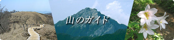 山のガイド