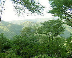 山頂からの眺め