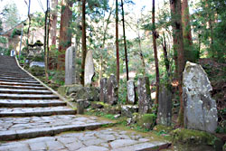 写真：最乗寺の参道