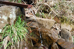 写真：パイプを伝う神明水