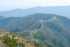 写真：尾根道がよく見える